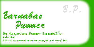 barnabas pummer business card